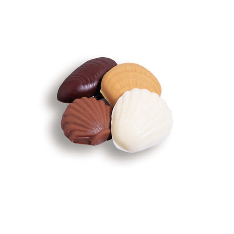 Asher Small Seashells Assorted 4lb