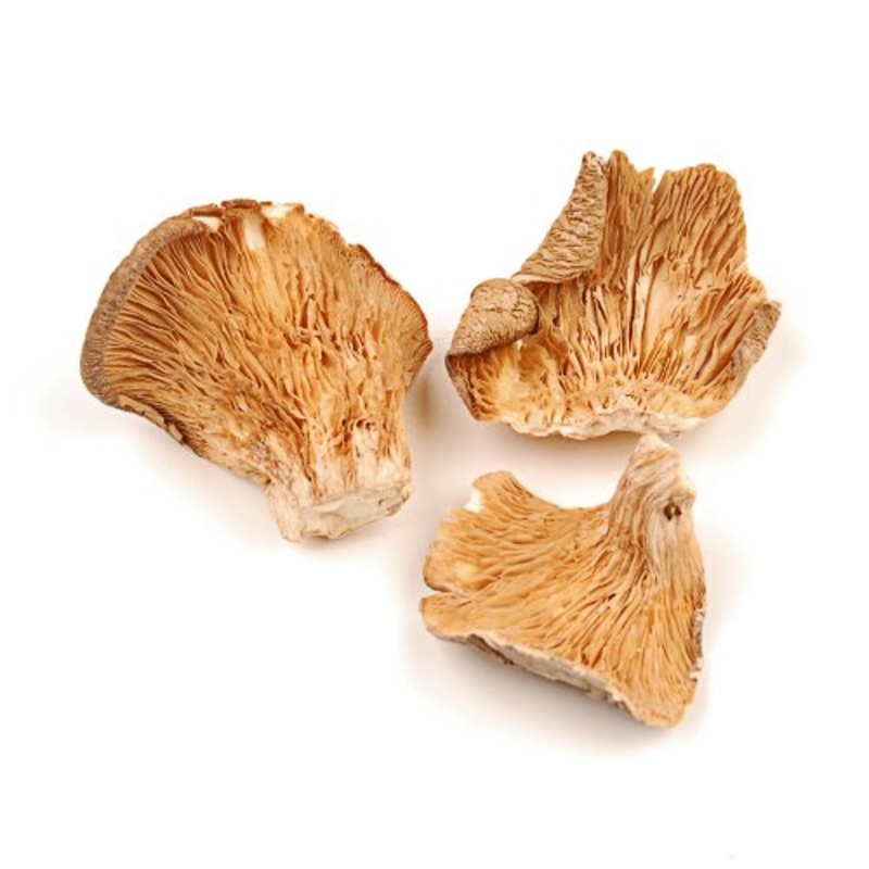 Dg Organic Dried Oyster Mushrooms, 1 Lb.