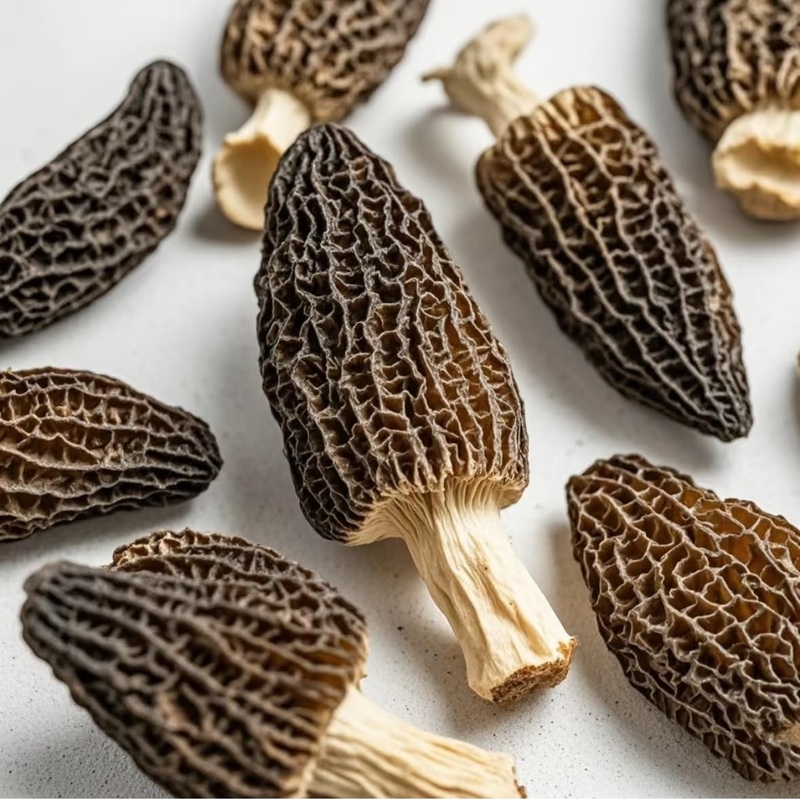 Dried Morel Mushrooms (Morchella Conica), 2 Oz Morel Mushrooms Dehydrated Delicacies Nourishing Morchella ConicaShipping From