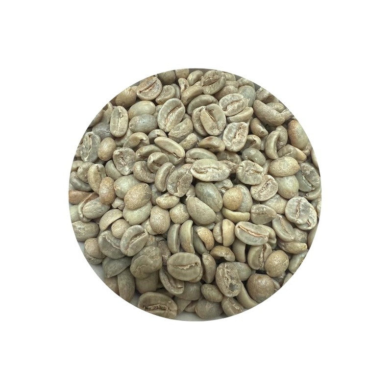 Roastika – Premium Green Coffee Bean – Unroasted Coffee Bean – 2Lb Single Origin – Mexico Chiapas Hg Ep