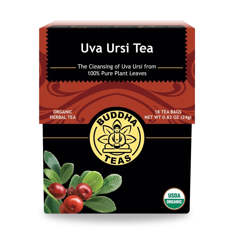 Buddha Teas Organic Uva Ursi Tea – Ou Kosher, Usda Organic, Ccof Organic, 18 Bleach-Free Tea Bags