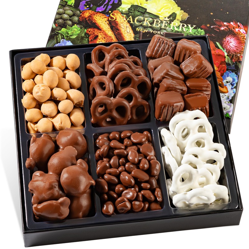 Snackberry Premium Chocolate Gift Box – Gourmet Assortment With Chocolate Pretzels, Maple Nuts, Yogurt Pretzels & Milk Chocolate