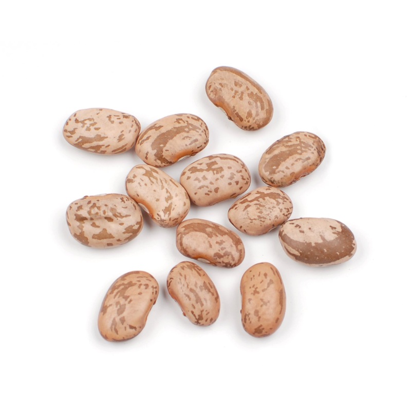 Dallesandro 25 Lbs. Dry Pinto Beans, Certified Kosher & Non-Gmo