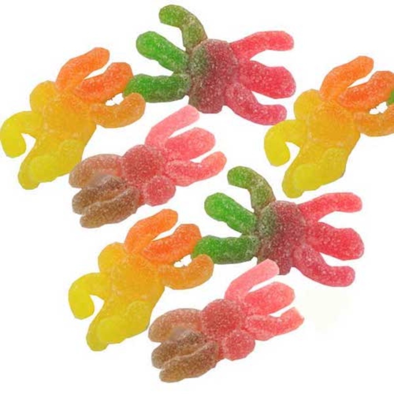 Fuzzy Gummy Spiders Candy – 4.4lb