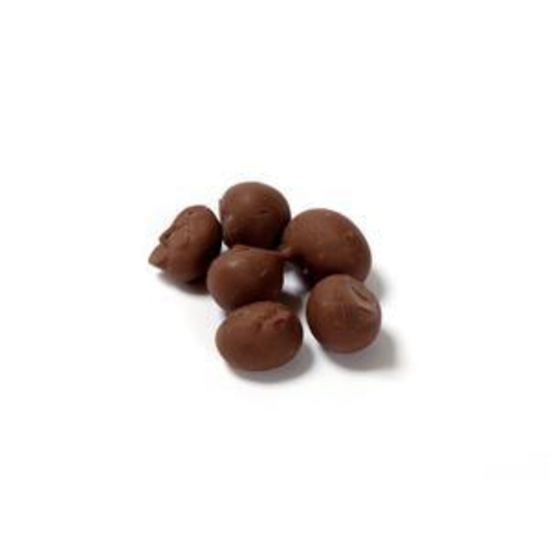 Chocolate Covered Peanuts