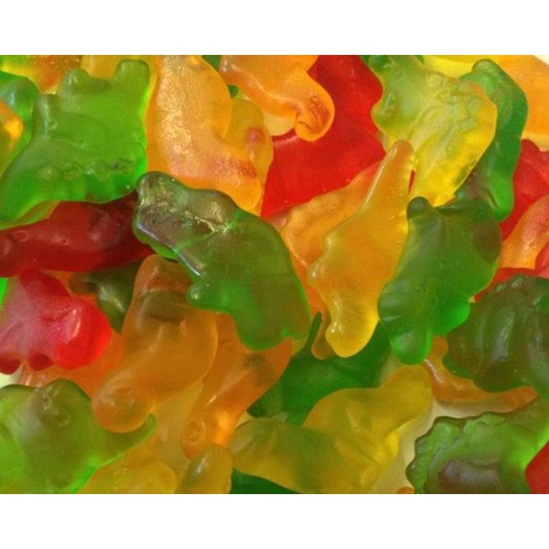 Gummi Dinosaurs Bulk