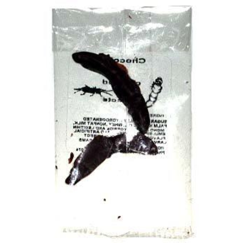 Worm and Cricket Chocolate Covered