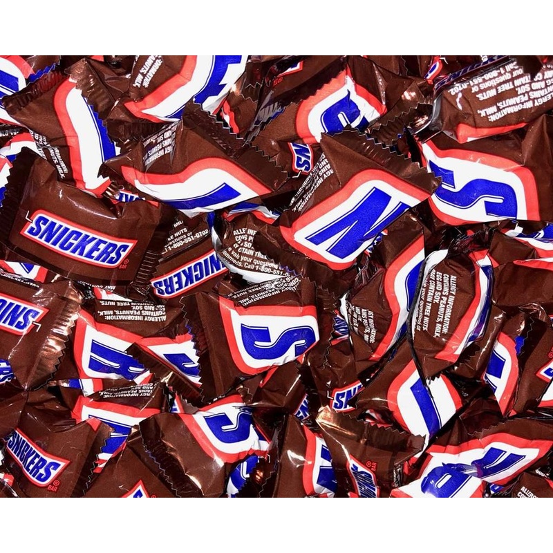 Snickers Mini Bite Size Candy Bars