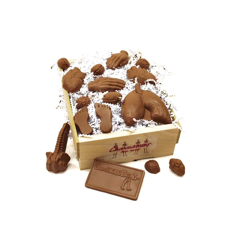 Milk Chocolate Anatomy Gift Box