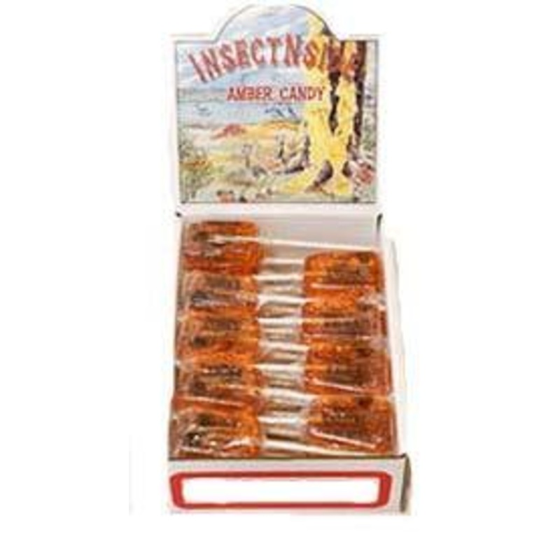 Amber InsectNside Toffee Sucker