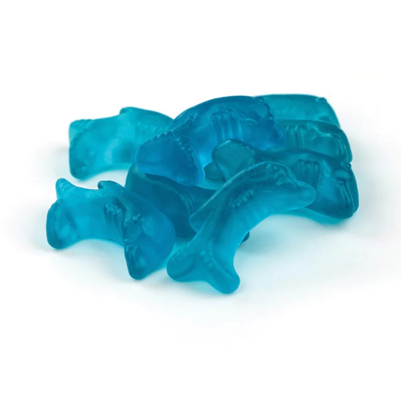 Gusta’f Gummy Dolphin 6.6lbs case