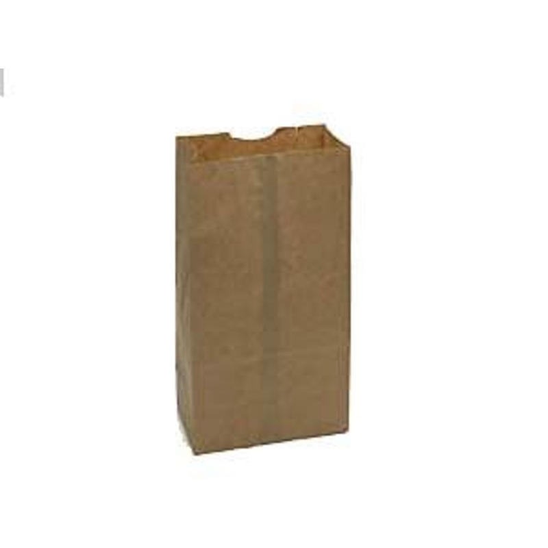 Six Pound Brown Paper Bags