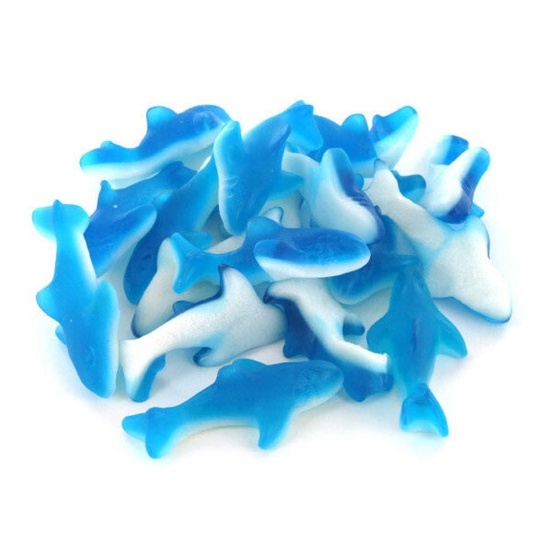 Sunrise Blue Sharks Gummi Candy – Bulk Bags