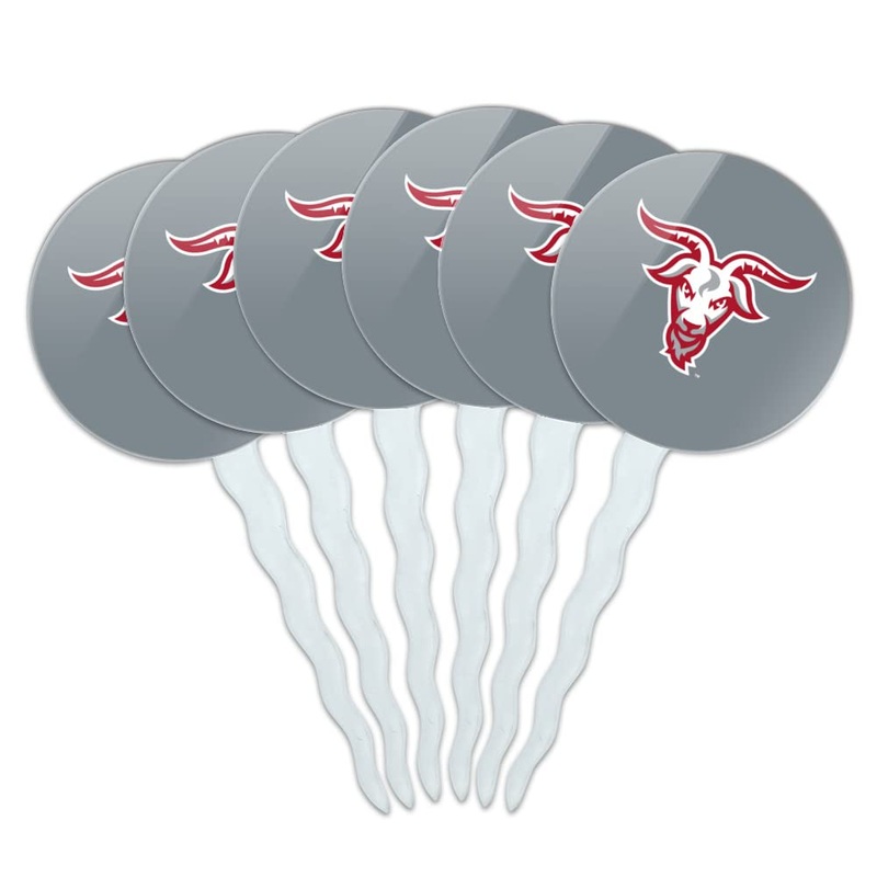 Wpi Secondary Logo Cupcake Picks Toppers Decoration Set Of 6